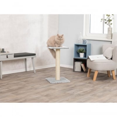 Драскалка Пилон 