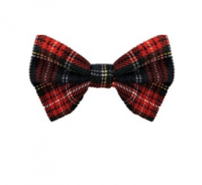 ПАПИОНКА TARTAN