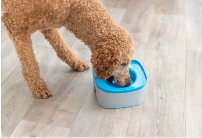 Купа за вода, удобна за път с фиксация против разливане 21х11х21см.