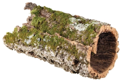 Естествен дървен тунел за гризачи