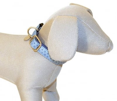 Нашийник Mylord Azzurro