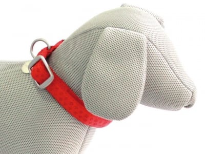 Нашийник Mylord Rosso