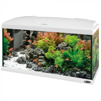 CAPRI 80 LED WHITE AQUARIUM