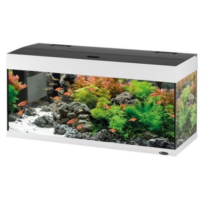 DUBAI 100 LED AQU. WHITE