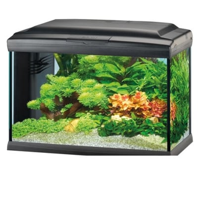 CAYMAN 60 LED PROFESS. BLACK