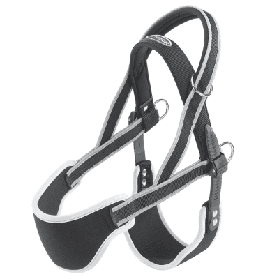 ERGOCOMFORT NORDIC 2