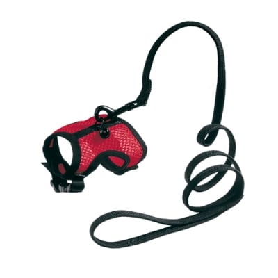 JOGGING SMALL-HARNESS - НАГРЪДНИК+ПОВОД