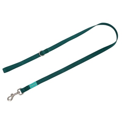 Basic Nylon Leash GREEN 15mm - повод 15/120 - зелен