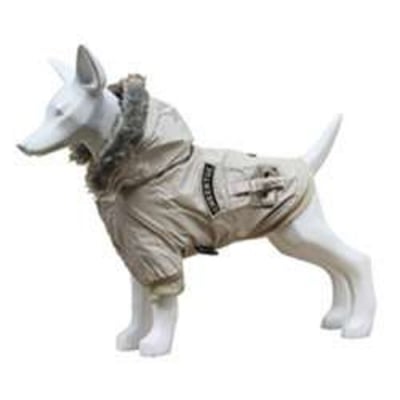 Gabardina  Cheertul BEIG 45 см