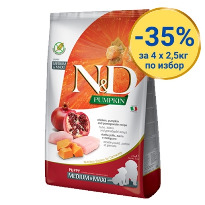 Пълноценна храна за подрастващи кученца, бременни или кърмещи кучета от средни и големи породи - гранули с тиква, пиле и нар, 2.5 кг