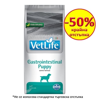 VLN  DIET DOG GASTROINTESTINAL PUPPY 2 KG