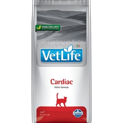 VLN DIET CAT CARDIAC   400G