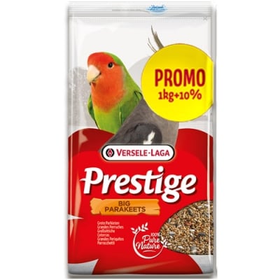 _            421907 PROMO STANDARD BIG PARAKEET  1+0.200 KG-ПЪЛН. ХРАНА  ЗА СРЕДНИ ПАПАГАЛИ