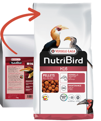 NutriBird H16- breeding - Пълноценна екструдирана храна за птица Носорог, 10 кг.