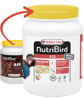 NUTRI BIRD A19 - Храна за ръчно хранене на големи папагали, 0,800 гр.