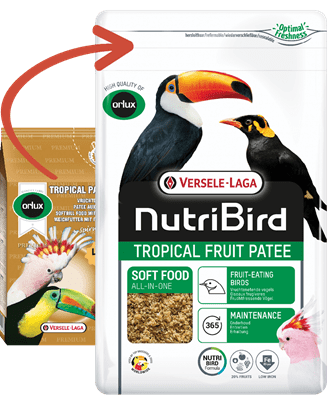 Tropical Fruit Patee - Пълноценна мека храна за плодоядни птици, 1 кг.