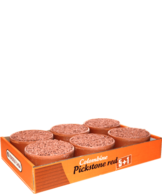 COL. PICKSTONE TRAYTRAY 5+1  купичка с твърд кекс богат на минерали от няколко източника.