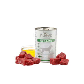 SENSITIVE с агнешко