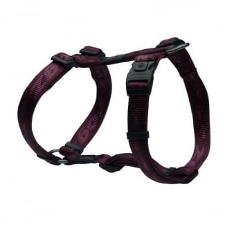 SJ23-E Matterhorn Harness PURPLE medium