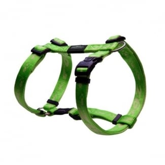 SJ27-G K2 Harness LIME EXLARGE
