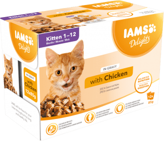 IAMS CAT POUCH KITTEN GRAVY 12X85