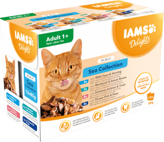 IAMS CAT POUCH SEA JELLY 12X85