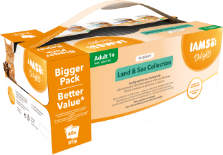 IAMS CAT POUCH MEGA PACK LAND AND SEA GRAVY 48X85