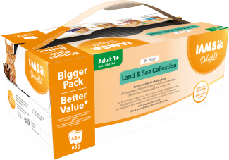 IAMS CAT POUCH MEGA PACK LAND AND SEA JELLY 48X85