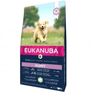 EUK DOG PUPPY LR LMBRC 12+2  BoB