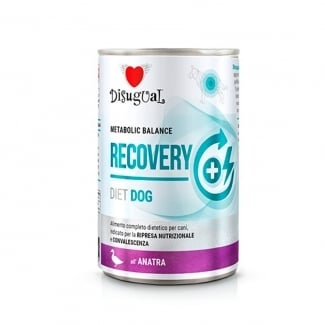 DSG консерва куче RECOVERY патица 400 гр