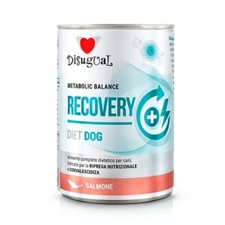 DSG консерва куче RECOVERY сьомга 400 гр