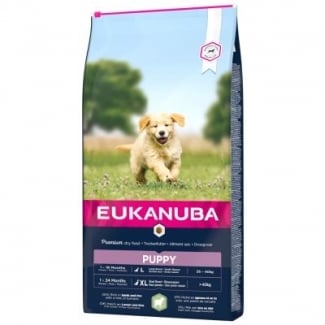 EUK DOG PUPPY LR LMBRC 12
