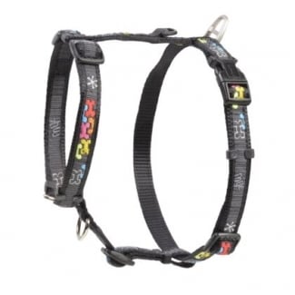 SJ02-CL MULTI BONE EX.LARGE  NEW