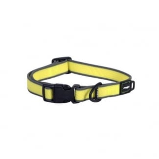 HB63-H Amphibian collar M DAYGLO