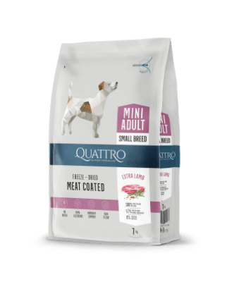 Куатро бял 7 кг куче дребни породи с агне