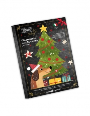 FC Адвент календар 2025