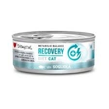 DSG консерва котка WEIGHT морски език 85 гр