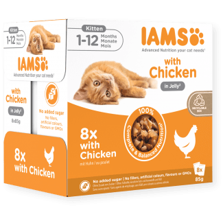 IAMS CAT POUCH KITTEN  JELLY - 8x85