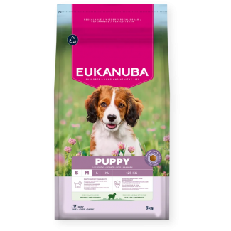 EUK DOG PUPPY SMMED LMBRC 03