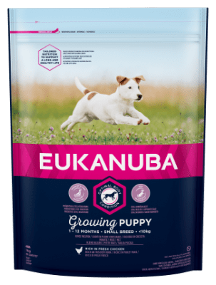 EUK DOG PUPPY SMALL 01