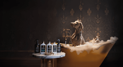 Barkin & Meowson е аристократичната двойка, която налага достойнството на домашния любимец като начин на живот