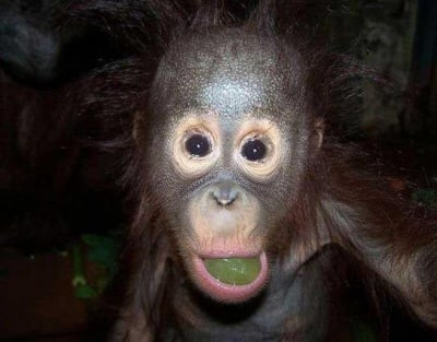 Малък чаровник ;)