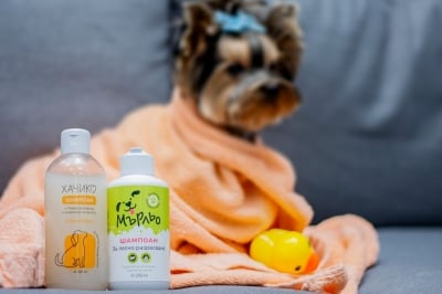 Здрава козина и щастлив домашен любимец - мисия възможна с Хачико и Мърльо