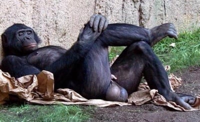 Това се казва мъжка гордост ...