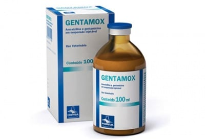 Гентамокс 