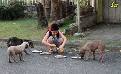 5 невероятни деца, от чието отношение към животните можем да се поучим