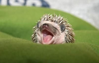 Добро Утро ♥