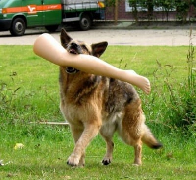 Дръжте крадеца