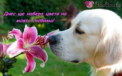 Осмомартенско утро