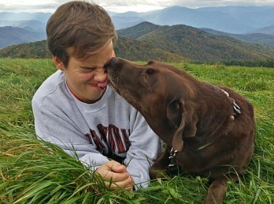 9 изненадващи начина, по които кучетата ни казват "Обичам те!"